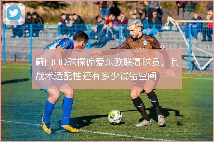 蔚山HD球探偏爱东欧联赛球员,其战术适配性还有多少试错空间