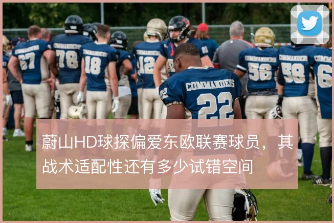 蔚山HD球探偏爱东欧联赛球员,其战术适配性还有多少试错空间