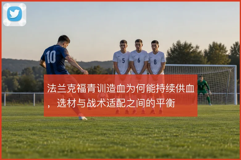 法兰克福青训造血为何能持续供血,选材与战术适配之间的平衡